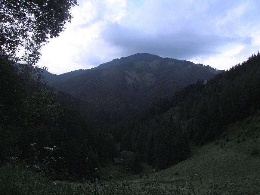 Foto: Andreas Koller / Wandertour / Rundtour auf der Hochalpe (1647m) / 08.09.2020 01:11:10