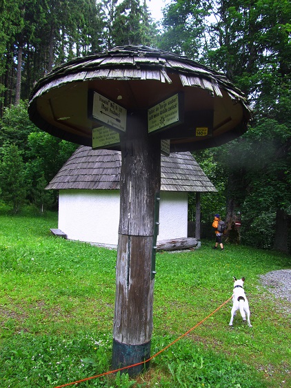 Foto: Andreas Koller / Wandertour / Rundtour auf der Hochalpe (1647m) / Eisenpass / 08.09.2020 01:11:03