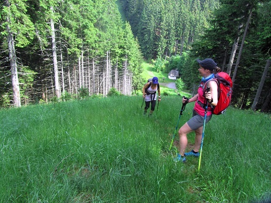 Foto: Andreas Koller / Wandertour / Rundtour auf der Hochalpe (1647m) / 08.09.2020 01:10:42