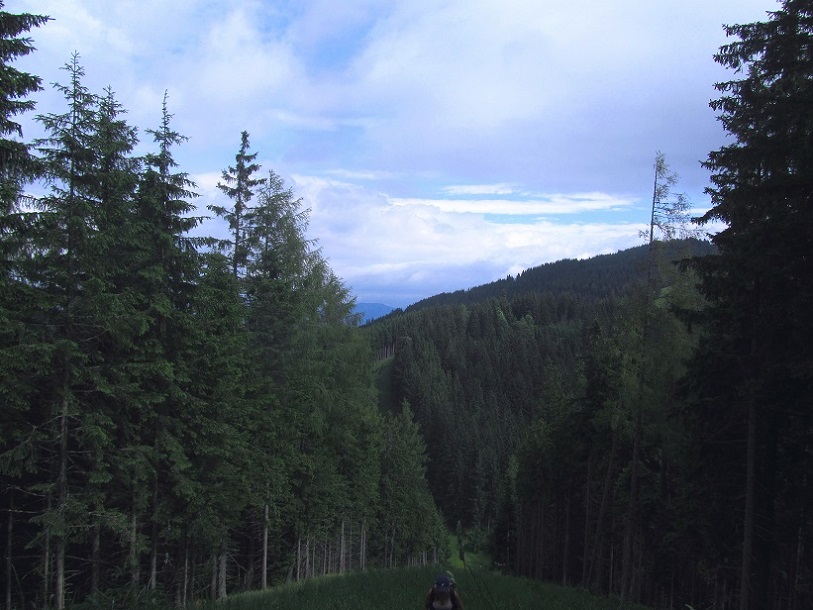 Foto: Andreas Koller / Wandertour / Rundtour auf der Hochalpe (1647m) / 08.09.2020 01:10:36