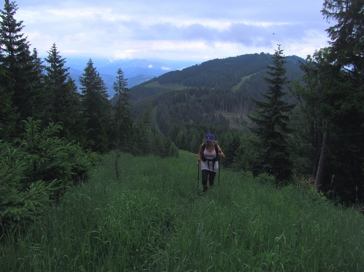 Foto: Andreas Koller / Wandertour / Rundtour auf der Hochalpe (1647m) / 08.09.2020 01:10:19