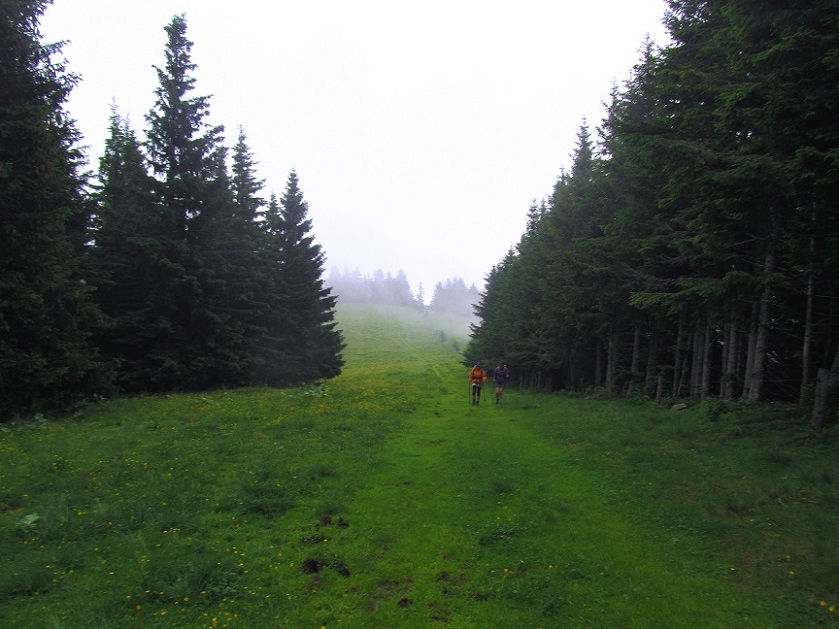 Foto: Andreas Koller / Wandertour / Rundtour auf der Hochalpe (1647m) / 08.09.2020 01:08:44