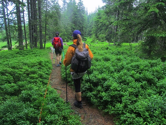 Foto: Andreas Koller / Wandertour / Rundtour auf der Hochalpe (1647m) / 08.09.2020 01:07:19