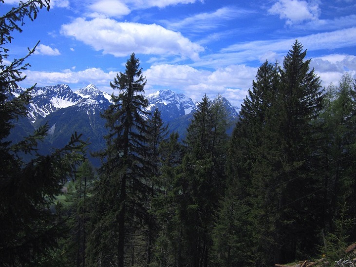 Foto: Andreas Koller / Wandertour / Unterwegs im Jauken-Massiv (2247m) / Unterwegs in den Gailtaler Alpen / 24.09.2020 23:03:34