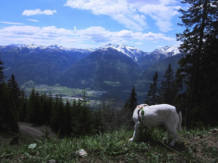 Foto: Andreas Koller / Wandertour / Unterwegs im Jauken-Massiv (2247m) / 24.09.2020 23:02:46