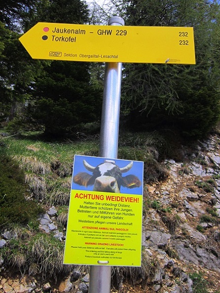 Foto: Andreas Koller / Wandertour / Unterwegs im Jauken-Massiv (2247m) / 24.09.2020 23:02:35