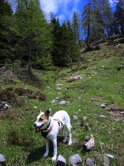 Foto: Andreas Koller / Wandertour / Unterwegs im Jauken-Massiv (2247m) / 24.09.2020 23:02:29