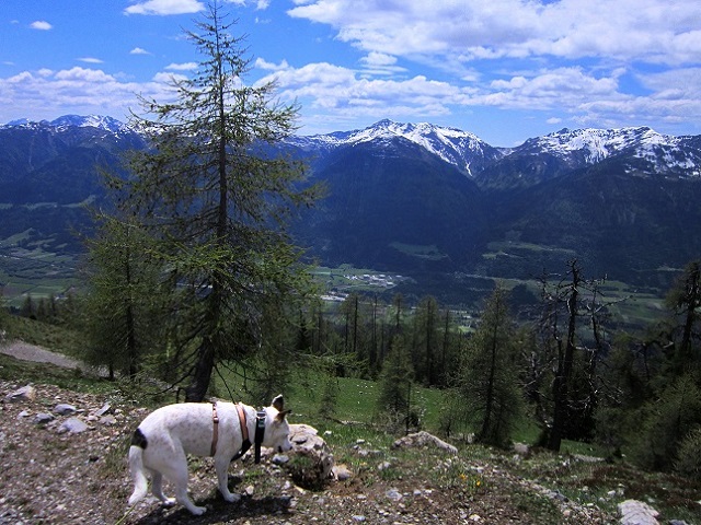 Foto: Andreas Koller / Wandertour / Unterwegs im Jauken-Massiv (2247m) / 24.09.2020 23:02:14