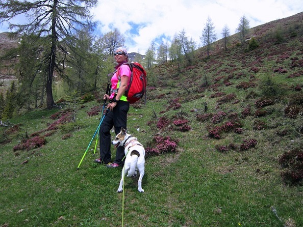 Foto: Andreas Koller / Wandertour / Unterwegs im Jauken-Massiv (2247m) / 24.09.2020 23:02:09