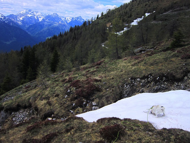 Foto: Andreas Koller / Wandertour / Unterwegs im Jauken-Massiv (2247m) / 24.09.2020 23:02:03