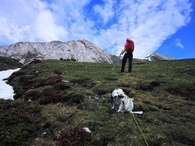 Foto: Andreas Koller / Wandertour / Unterwegs im Jauken-Massiv (2247m) / 24.09.2020 23:01:57