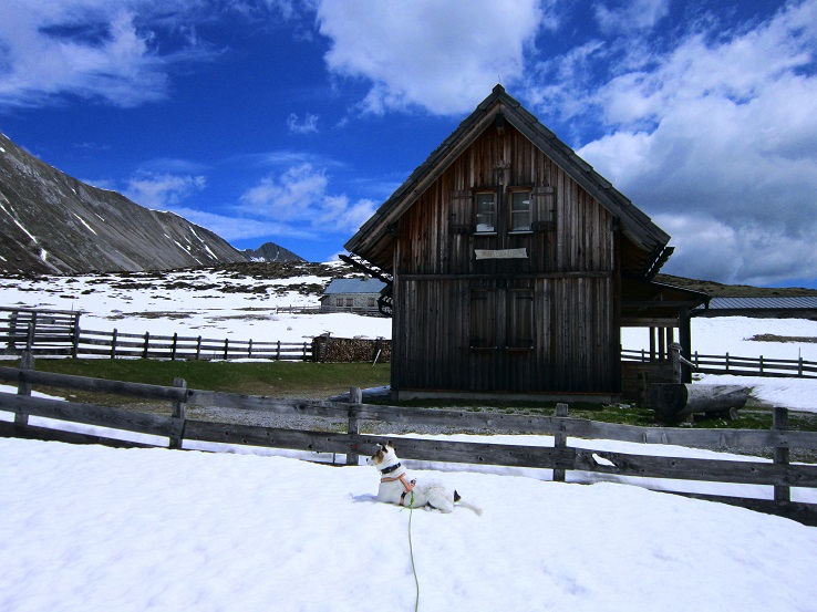 Foto: Andreas Koller / Wandertour / Unterwegs im Jauken-Massiv (2247m) / 24.09.2020 23:01:30