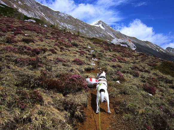 Foto: Andreas Koller / Wandertour / Unterwegs im Jauken-Massiv (2247m) / 24.09.2020 23:00:55