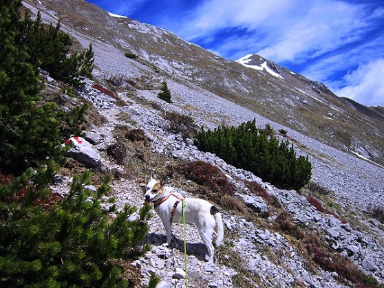 Foto: Andreas Koller / Wandertour / Unterwegs im Jauken-Massiv (2247m) / 24.09.2020 23:00:40