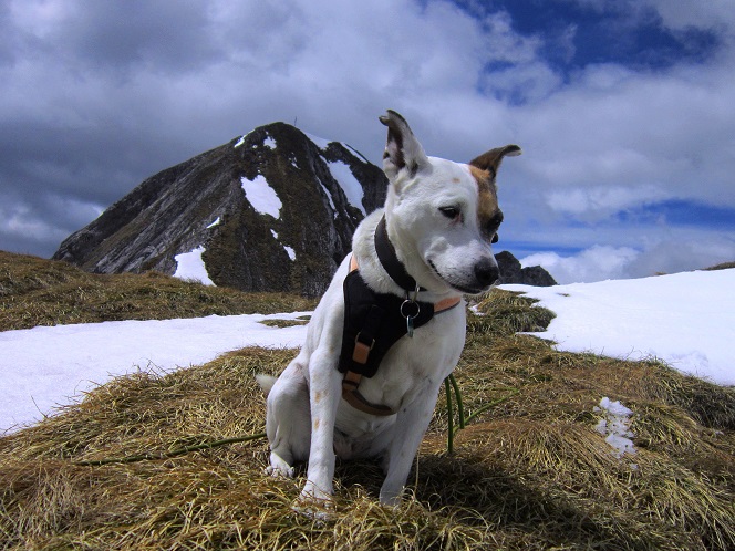 Foto: Andreas Koller / Wandertour / Unterwegs im Jauken-Massiv (2247m) / 24.09.2020 22:56:43