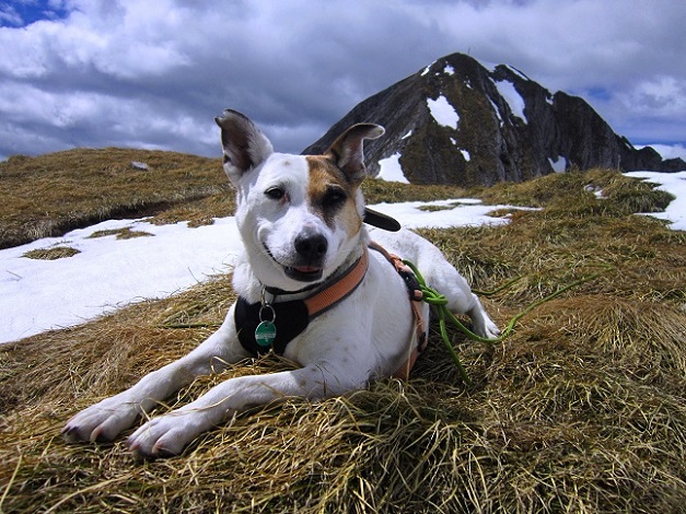 Foto: Andreas Koller / Wandertour / Unterwegs im Jauken-Massiv (2247m) / 24.09.2020 22:56:29