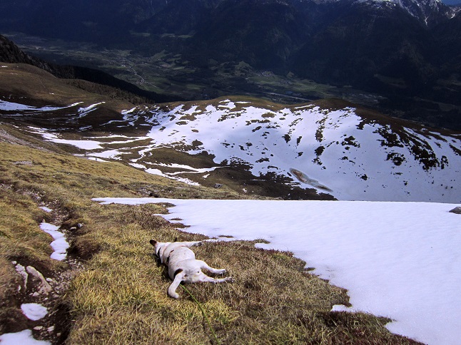 Foto: Andreas Koller / Wandertour / Unterwegs im Jauken-Massiv (2247m) / Abstieg vom Mitterkofel / 24.09.2020 22:56:21