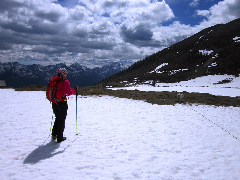 Foto: Andreas Koller / Wandertour / Unterwegs im Jauken-Massiv (2247m) / 24.09.2020 22:55:32