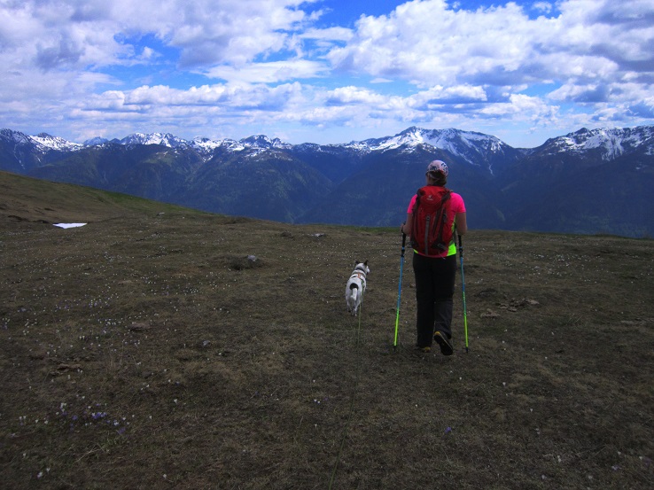 Foto: Andreas Koller / Wandertour / Unterwegs im Jauken-Massiv (2247m) / 24.09.2020 22:55:09