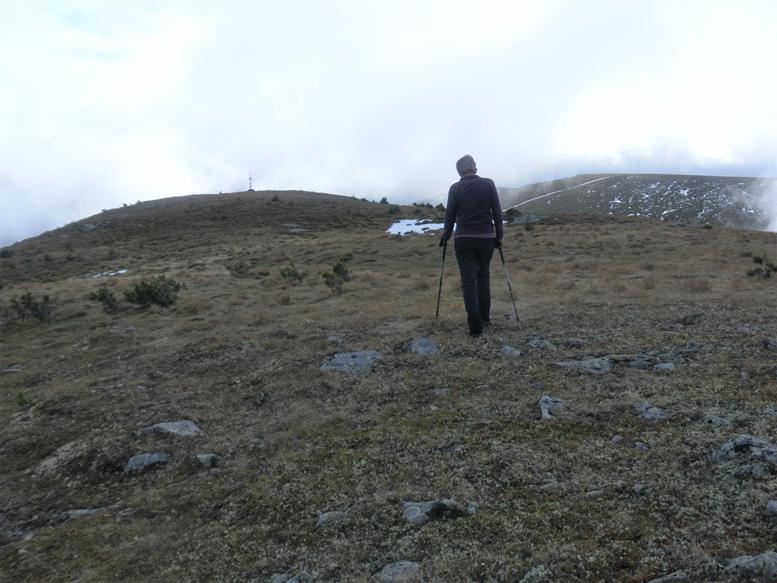 Foto: Wolfgang Lauschensky / Wandertour / Strannerhöhe 2116m und Würflinghöhe 2198m aus dem Bärentalgraben / Nordrücken der Strannerhöhe / 08.11.2020 19:04:59