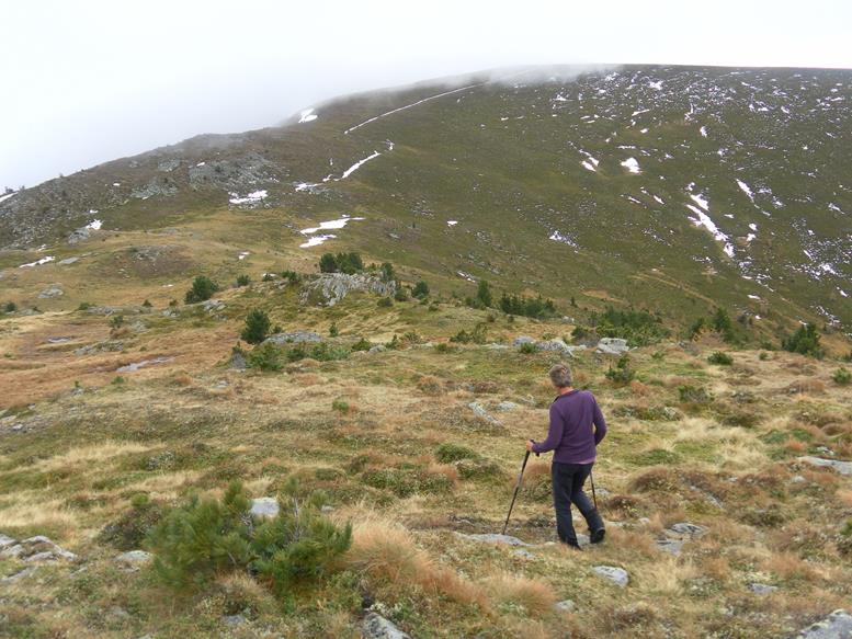 Foto: Wolfgang Lauschensky / Wandertour / Strannerhöhe 2116m und Würflinghöhe 2198m aus dem Bärentalgraben / Abstieg zur Bärentalscharte / 08.11.2020 19:04:46