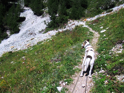 Foto: Andreas Koller / Wandertour / Mont Chevrier (2085m) / 19.11.2020 13:40:17