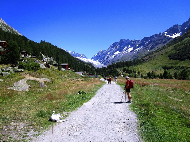 Foto: Andreas Koller / Klettersteigtour / Klettersteig Rock Metal Climbing zur Anenhütte (2366m) / Lötschental / 25.12.2020 18:27:49