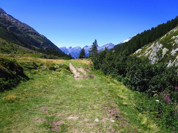Foto: Andreas Koller / Klettersteigtour / Klettersteig Rock Metal Climbing zur Anenhütte (2366m) / 25.12.2020 18:26:52