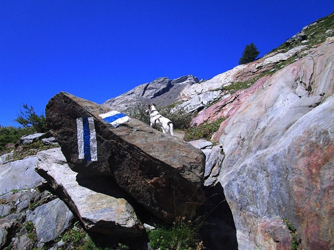 Foto: Andreas Koller / Klettersteigtour / Klettersteig Rock Metal Climbing zur Anenhütte (2366m) / 25.12.2020 18:25:46