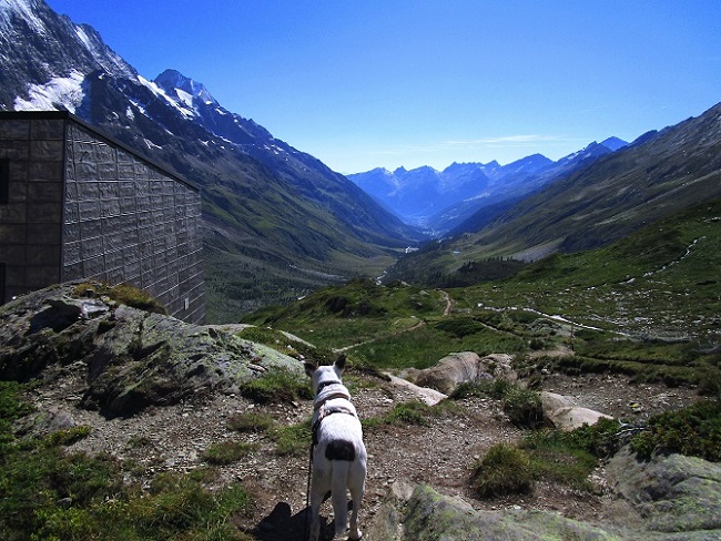Foto: Andreas Koller / Klettersteigtour / Klettersteig Rock Metal Climbing zur Anenhütte (2366m) / Abstieg von der Anenhütte / 25.12.2020 18:18:43
