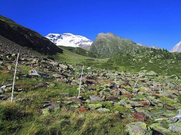 Foto: Andreas Koller / Klettersteigtour / Klettersteig Rock Metal Climbing zur Anenhütte (2366m) / 25.12.2020 18:17:34