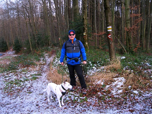 Foto: Andreas Koller / Wandertour / WIR - Runde über den Jochgrabenberg (645m) / 10.01.2021 23:45:32