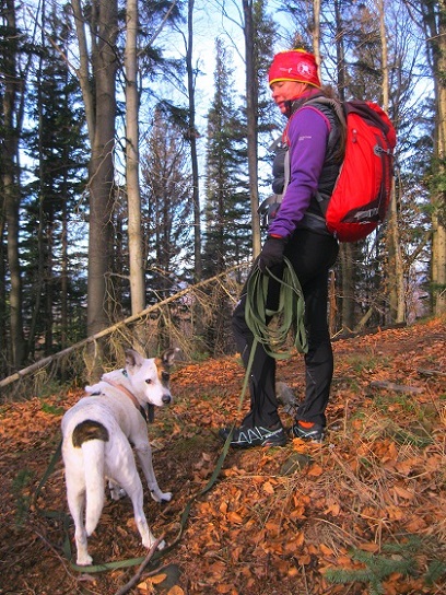 Foto: Andreas Koller / Wandertour / WIR - Runde über den Jochgrabenberg (645m) / 10.01.2021 23:45:12