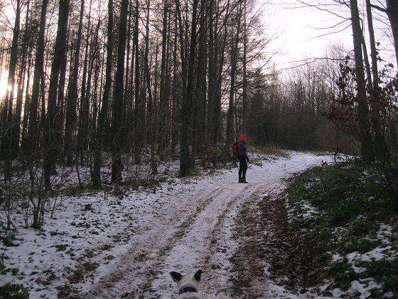 Foto: Andreas Koller / Wandertour / WIR - Runde über den Jochgrabenberg (645m) / 10.01.2021 23:45:07