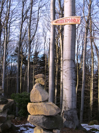 Foto: Andreas Koller / Wandertour / WIR - Runde über den Jochgrabenberg (645m) / 10.01.2021 23:43:45