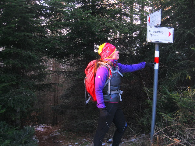 Foto: Andreas Koller / Wandertour / WIR - Runde über den Jochgrabenberg (645m) / Abzweigung / 10.01.2021 23:39:28