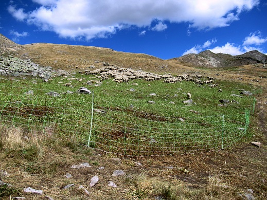 Foto: Andreas Koller / Wandertour / Crete de Peyrolle - Grat mit Aussicht (2645m) / 13.01.2021 01:39:51