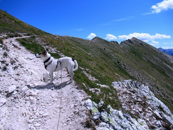 Foto: Andreas Koller / Wandertour / Crete de Peyrolle - Grat mit Aussicht (2645m) / 13.01.2021 01:39:07
