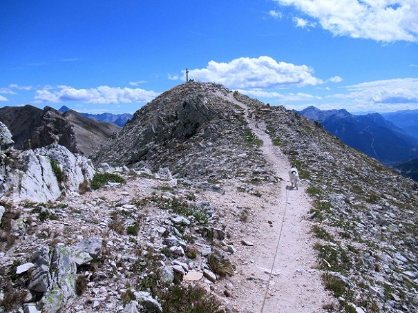 Foto: Andreas Koller / Wandertour / Crete de Peyrolle - Grat mit Aussicht (2645m) / 13.01.2021 01:38:50