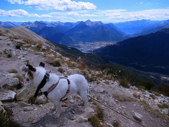 Foto: Andreas Koller / Wandertour / Crete de Peyrolle - Grat mit Aussicht (2645m) / 13.01.2021 01:37:57