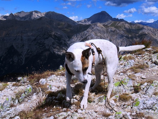 Foto: Andreas Koller / Wandertour / Crete de Peyrolle - Grat mit Aussicht (2645m) / 13.01.2021 01:36:48