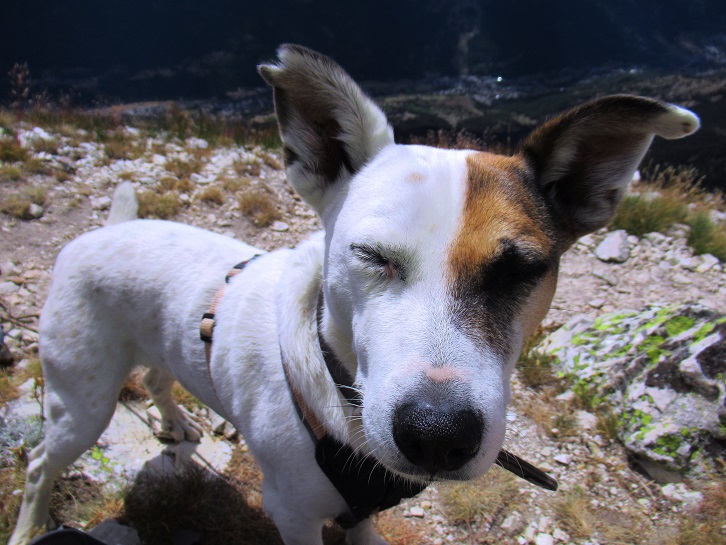 Foto: Andreas Koller / Wandertour / Crete de Peyrolle - Grat mit Aussicht (2645m) / 13.01.2021 01:36:27