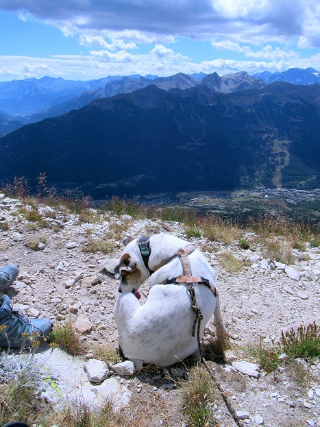 Foto: Andreas Koller / Wandertour / Crete de Peyrolle - Grat mit Aussicht (2645m) / 13.01.2021 01:35:50