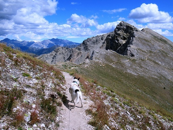 Foto: Andreas Koller / Wandertour / Crete de Peyrolle - Grat mit Aussicht (2645m) / 13.01.2021 01:35:13