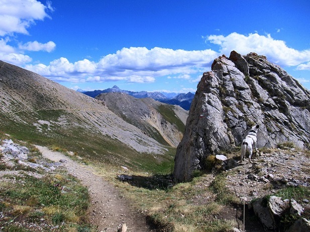 Foto: Andreas Koller / Wandertour / Crete de Peyrolle - Grat mit Aussicht (2645m) / 13.01.2021 01:34:29
