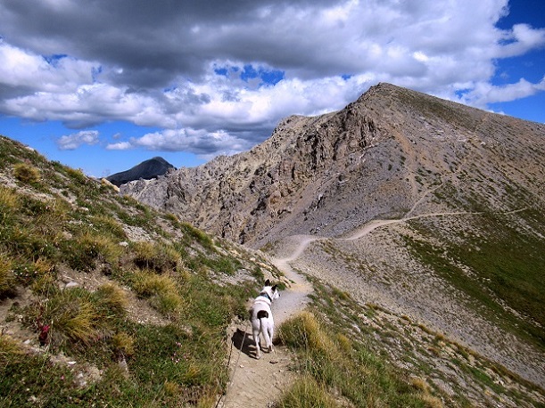 Foto: Andreas Koller / Wandertour / Crete de Peyrolle - Grat mit Aussicht (2645m) / 13.01.2021 01:34:21