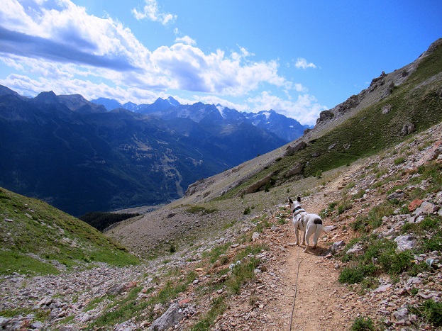 Foto: Andreas Koller / Wandertour / Crete de Peyrolle - Grat mit Aussicht (2645m) / 13.01.2021 01:32:28