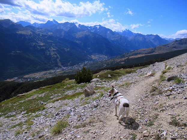 Foto: Andreas Koller / Wandertour / Crete de Peyrolle - Grat mit Aussicht (2645m) / 13.01.2021 01:32:21