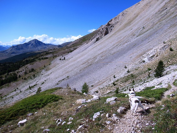 Foto: Andreas Koller / Wandertour / Crete de Peyrolle - Grat mit Aussicht (2645m) / 13.01.2021 01:32:14