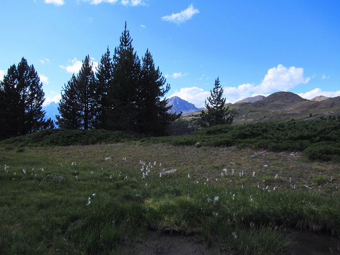 Foto: Andreas Koller / Wandertour / Crete de Peyrolle - Grat mit Aussicht (2645m) / 13.01.2021 01:32:01
